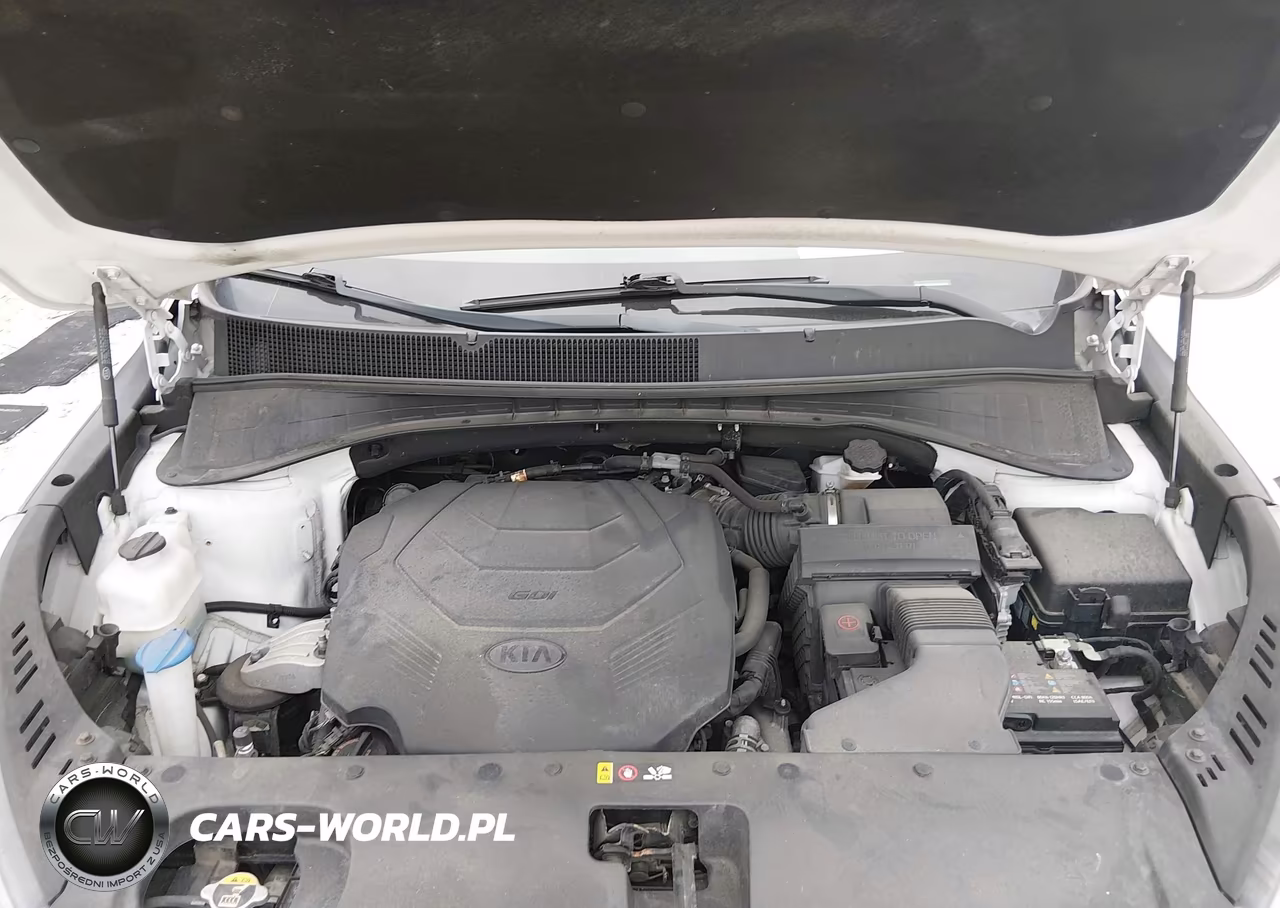 2019 Kia Sorento 3.3L Lx VIN:5XYPGDA57KG566679 - 10