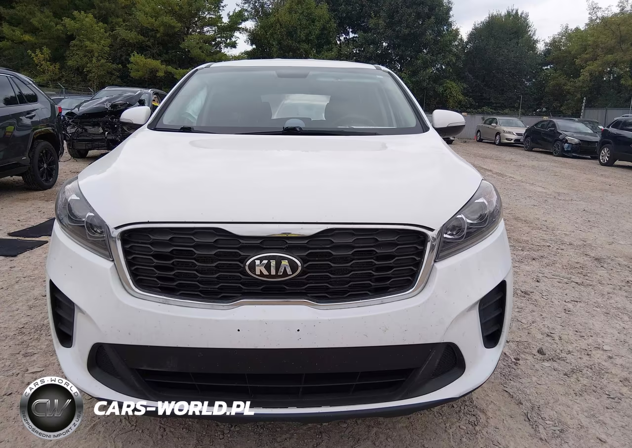 2019 Kia Sorento 3.3L Lx VIN:5XYPGDA57KG566679 - 13
