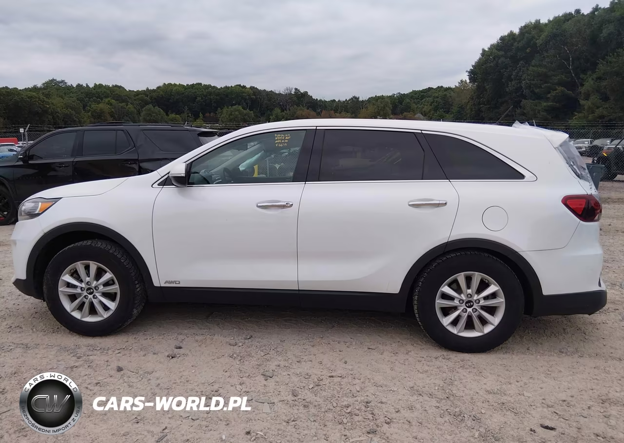 2019 Kia Sorento 3.3L Lx VIN:5XYPGDA57KG566679 - 15