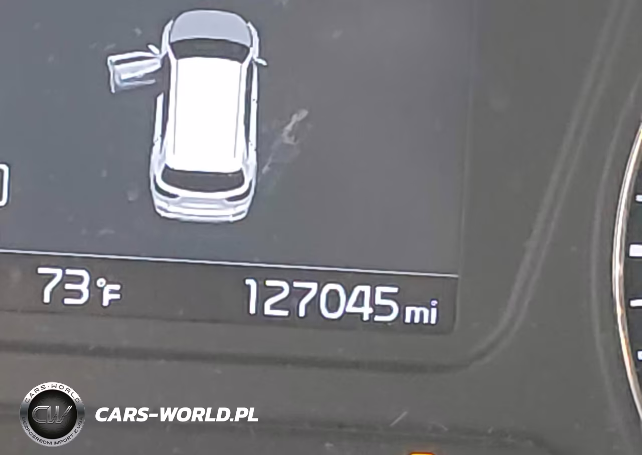 2019 Kia Sorento 3.3L Lx VIN:5XYPGDA57KG566679 - 16