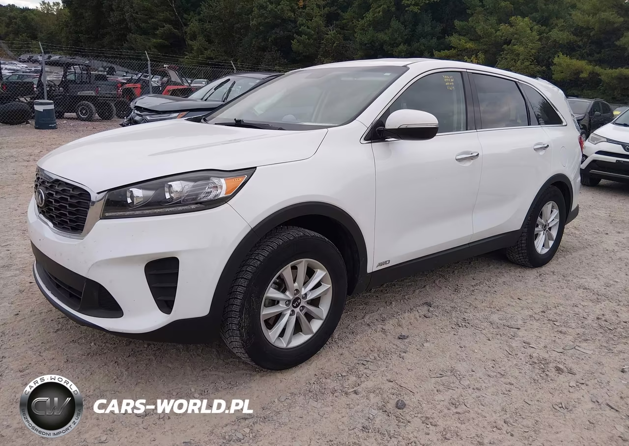 2019 Kia Sorento 3.3L Lx VIN:5XYPGDA57KG566679 - 2