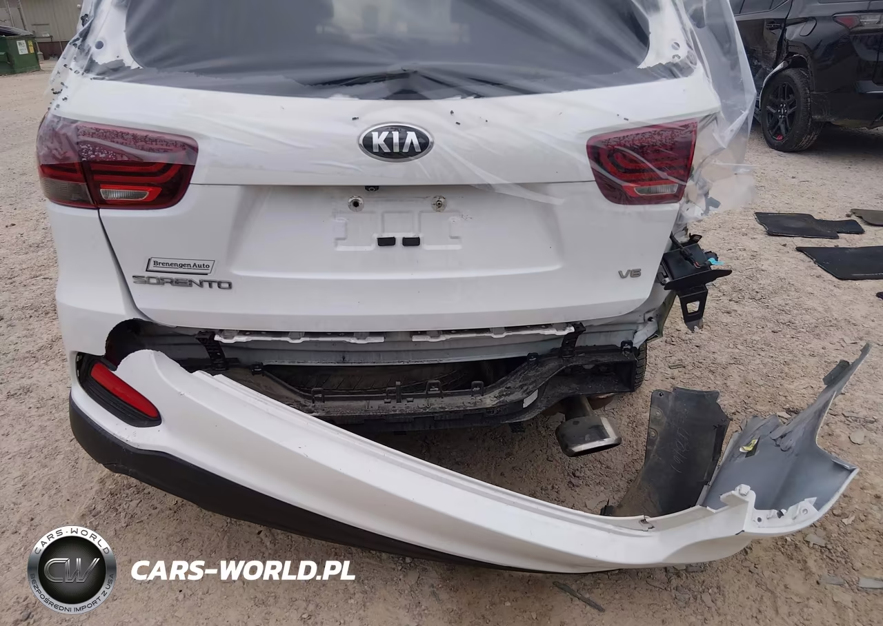 2019 Kia Sorento 3.3L Lx VIN:5XYPGDA57KG566679 - 6