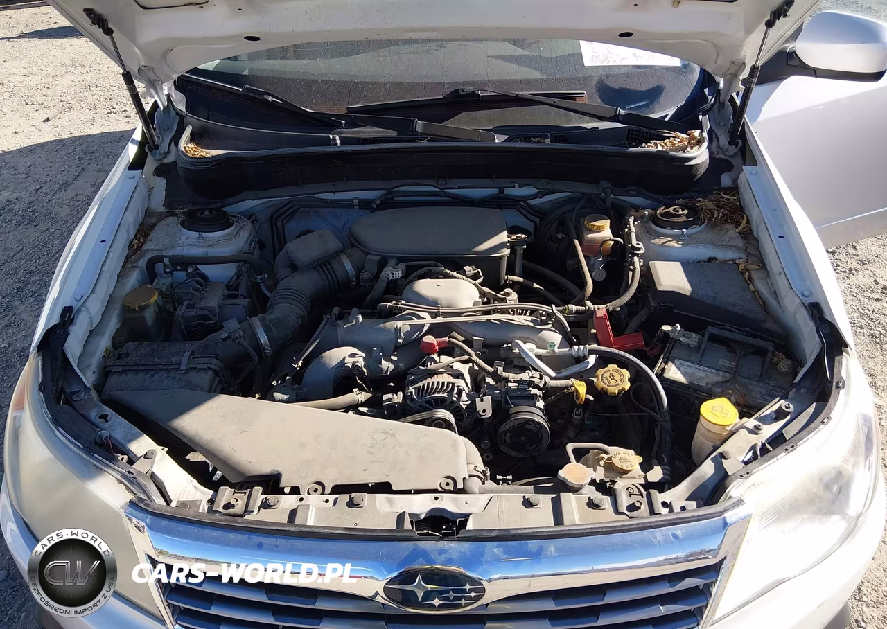 2010 Subaru Forester 2.5X Premium VIN:JF2SH6CCXAH739410 - 10