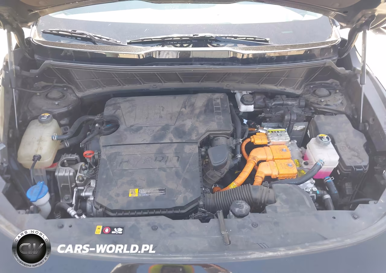 2024 Kia Niro Ex Touring VIN:KNDCR3LE0R5128430 - 10