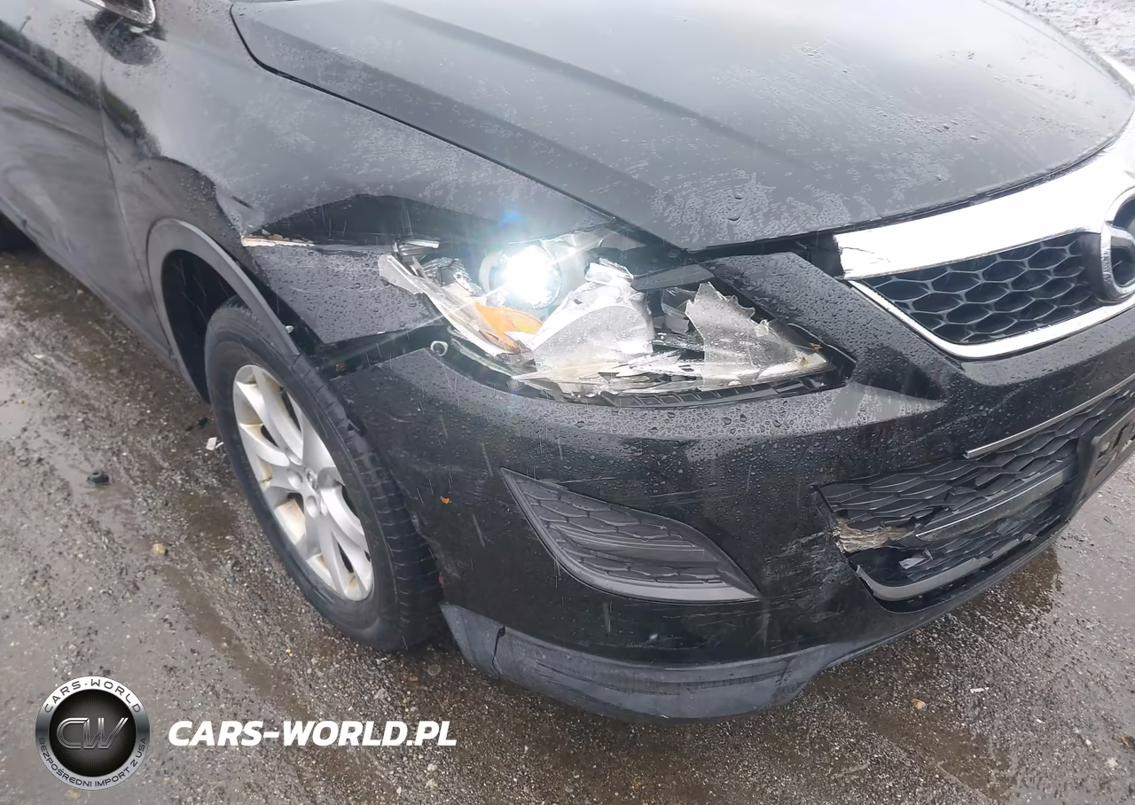 2012 Mazda Cx-9 Touring VIN:JM3TB3CV1C0334789 - 6