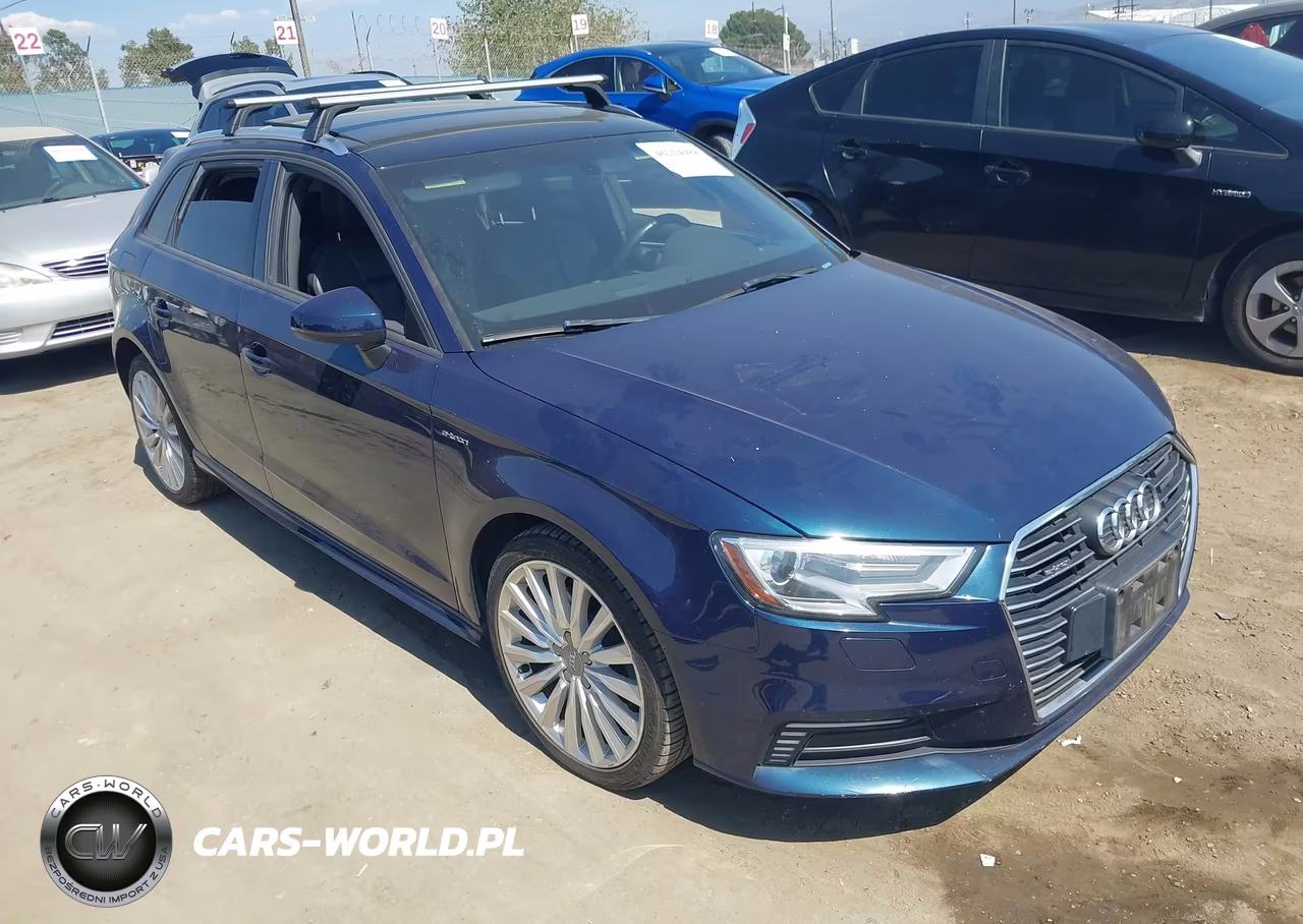 2017 Audi A3 E-Tron 1.4T Premium VIN:WAUUPBFF5HA091838 - 1