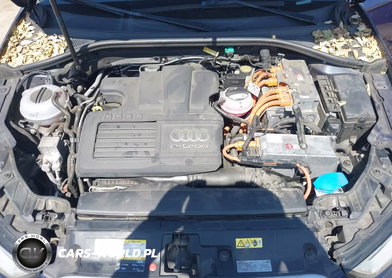 2017 Audi A3 E-Tron 1.4T Premium VIN:WAUUPBFF5HA091838 - 10