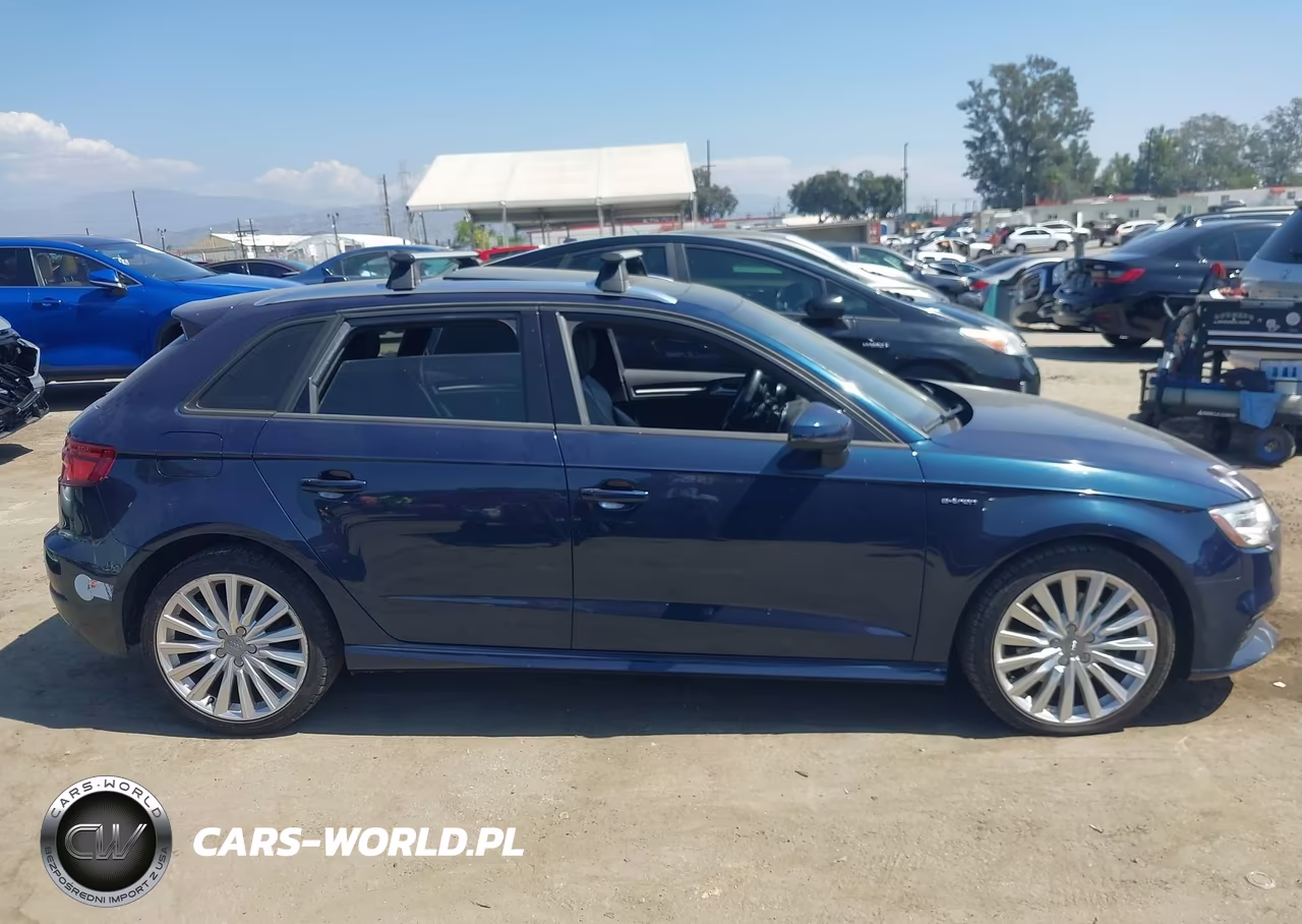 2017 Audi A3 E-Tron 1.4T Premium VIN:WAUUPBFF5HA091838 - 13
