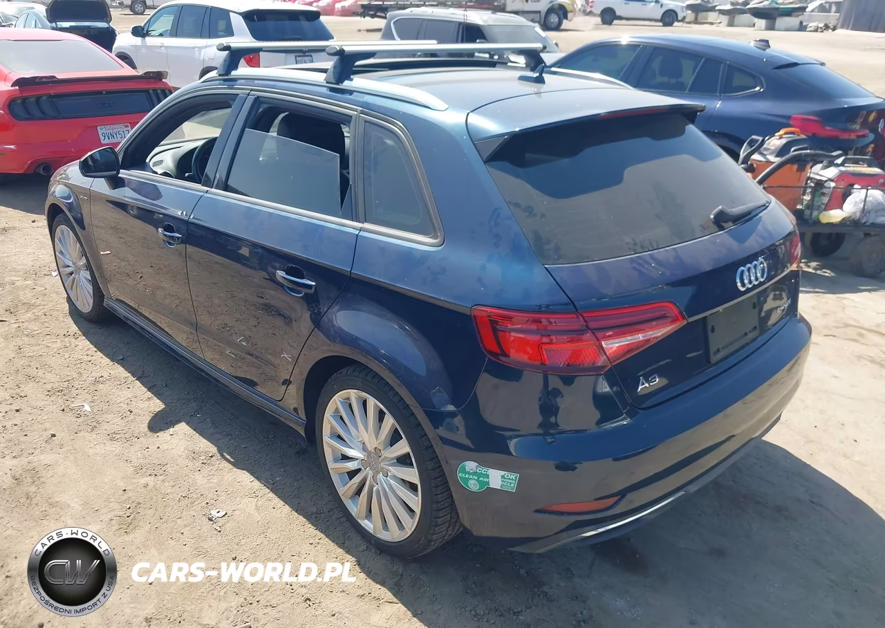 2017 Audi A3 E-Tron 1.4T Premium VIN:WAUUPBFF5HA091838 - 3