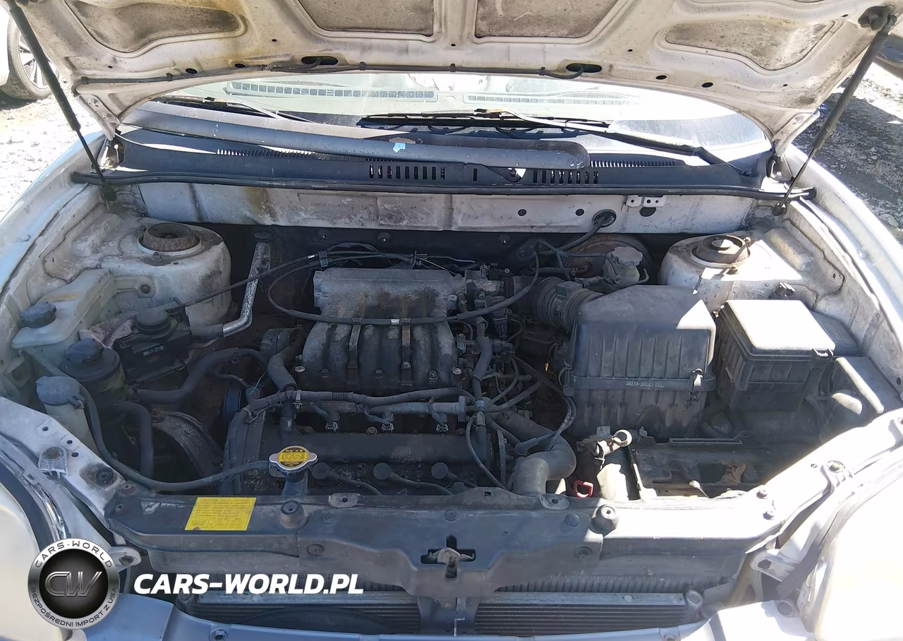 2002 Hyundai Santa Fe Gls-Lx VIN:KM8SC73DX2U181655 - 10