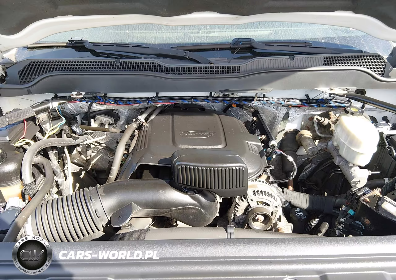 2015 Chevrolet Silverado 2500Hd Wt VIN:1GC2KUEB4FZ134017 - 10