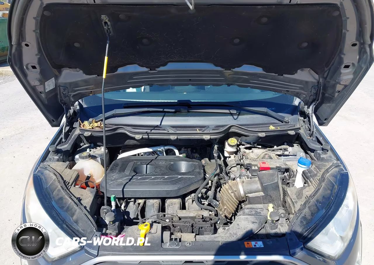 2018 Ford Ecosport Se VIN:MAJ6P1UL5JC171042 - 10