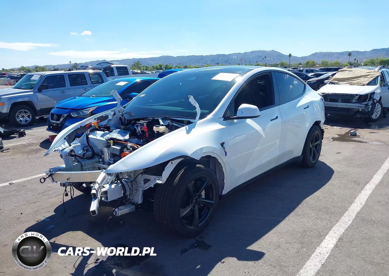 2026 Tesla Model Y All-Wheel Drive-Long Range Launch Series-Premium All-Wheel Drive VIN:7SAYGDEE8TF691846 - 11