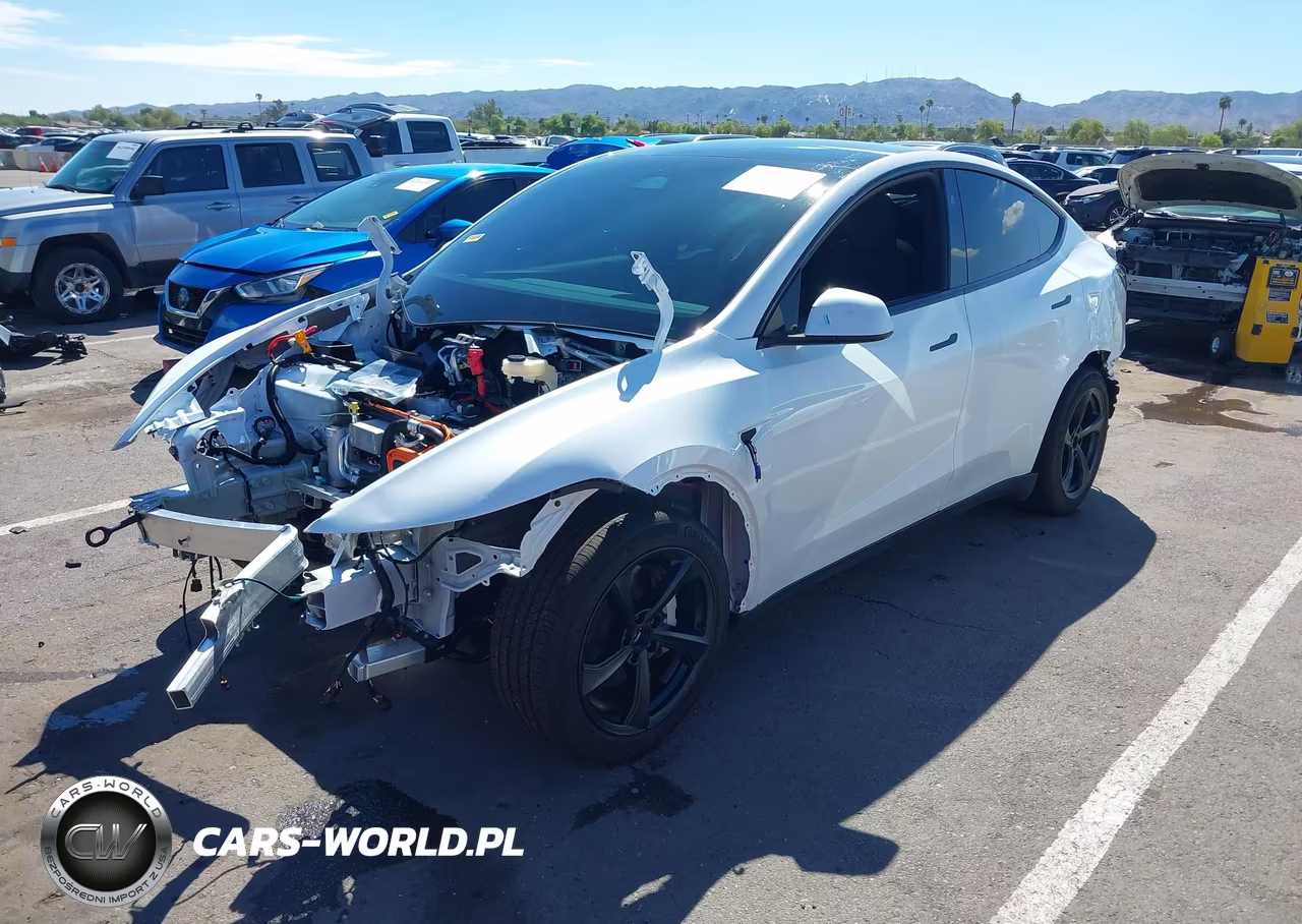 2026 Tesla Model Y All-Wheel Drive-Long Range Launch Series-Premium All-Wheel Drive VIN:7SAYGDEE8TF691846 - 2