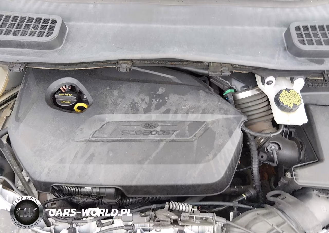 2015 Ford Escape Se VIN:1FMCU9GXXFUA66013 - 10
