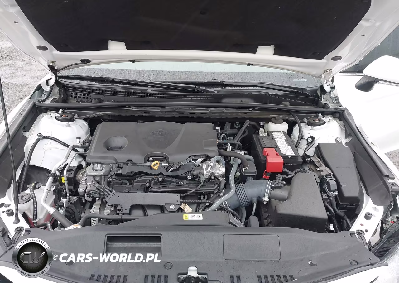2023 Toyota Camry Le VIN:4T1C11AK2PU817467 - 10