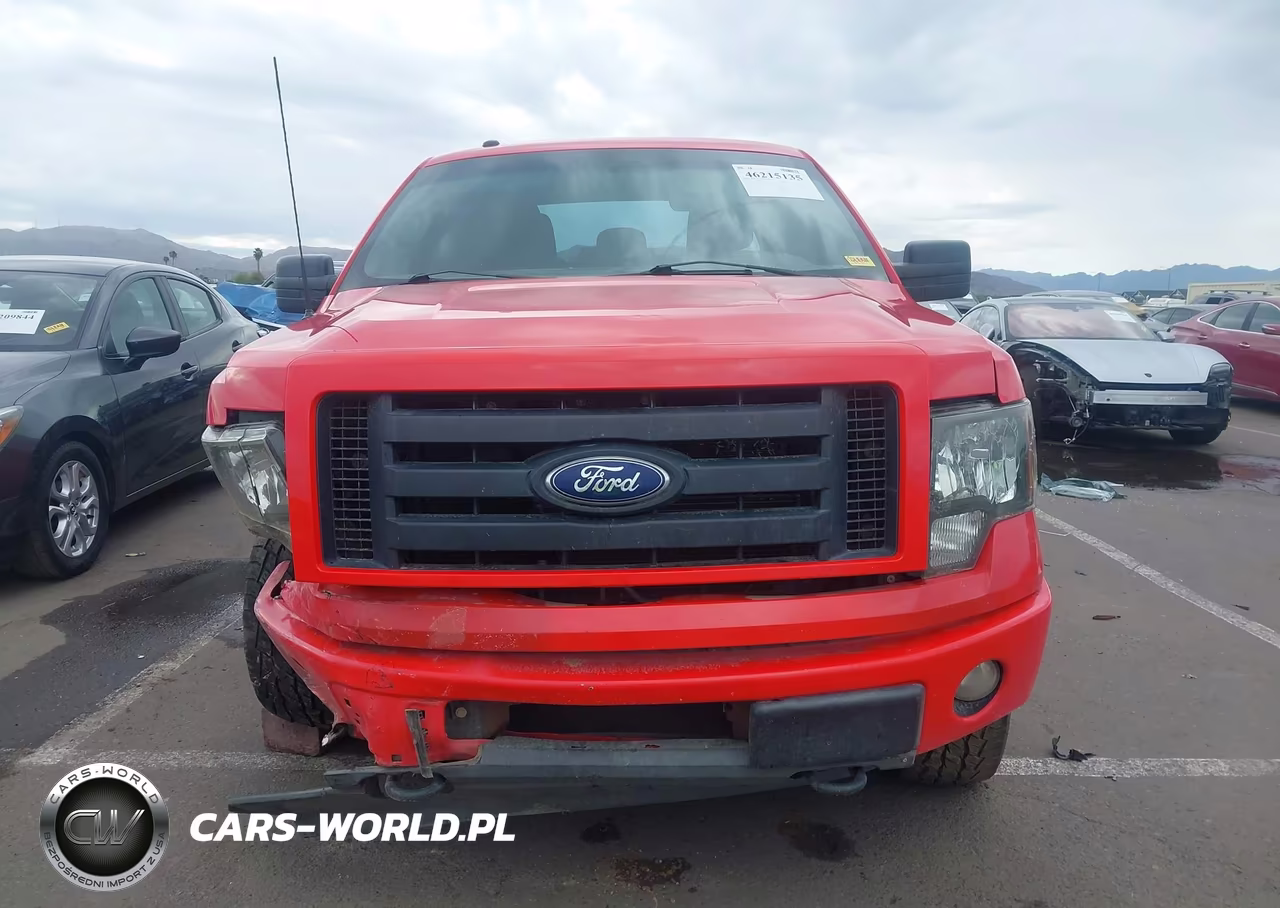 2012 Ford F-150 Stx VIN:1FTFX1EF5CFC03122 - 12