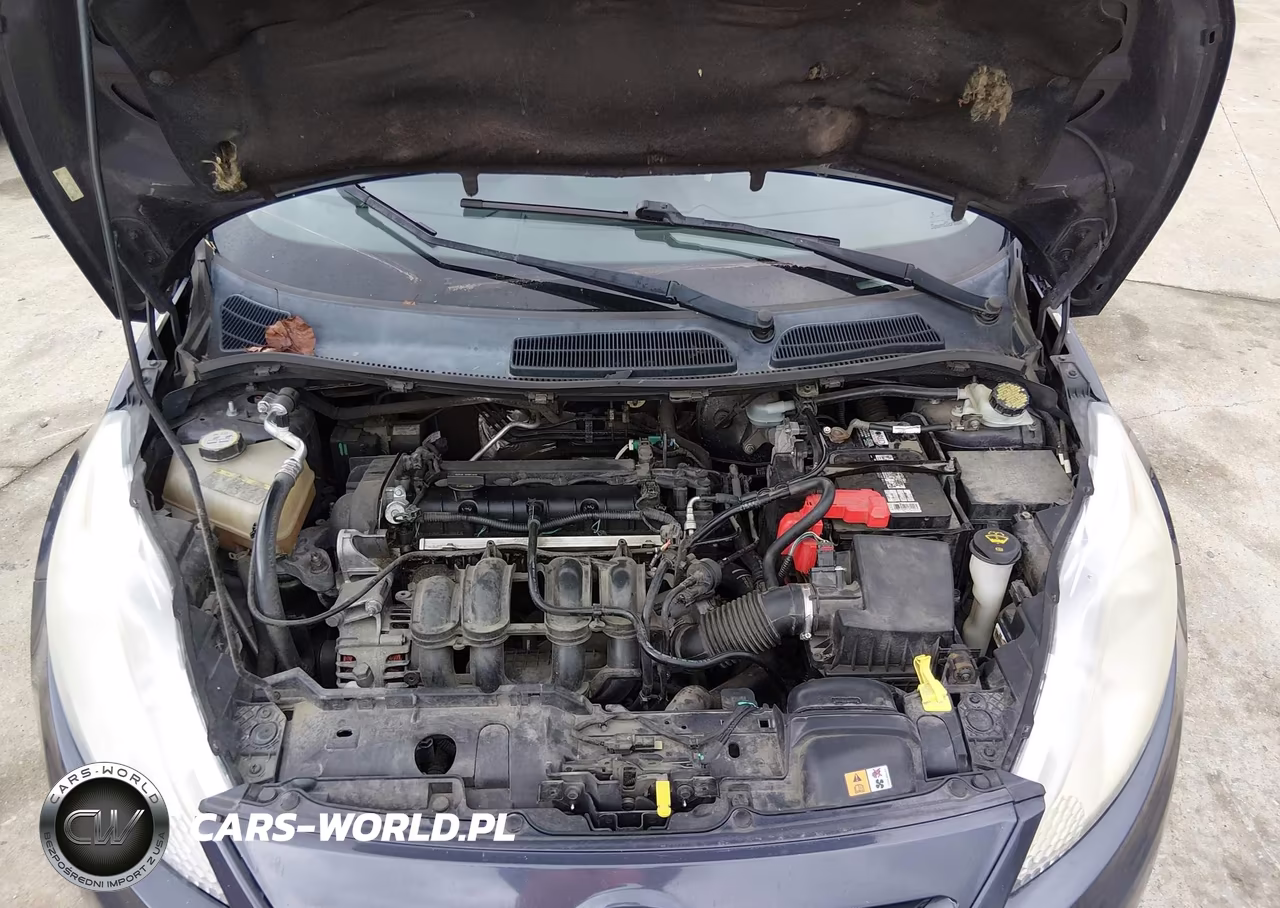 2013 Ford Fiesta Se VIN:3FADP4EJ0DM220575 - 9