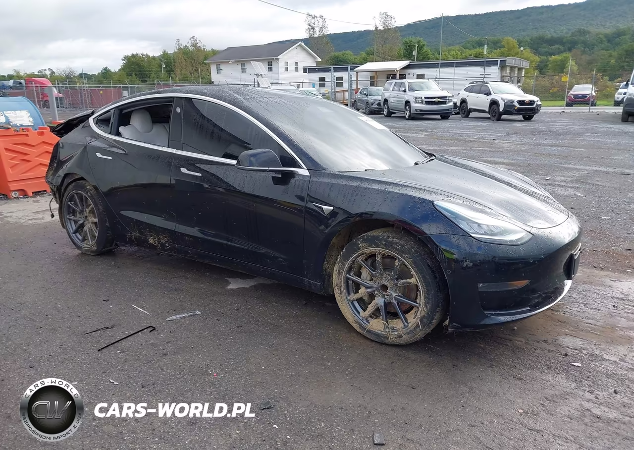 2019 Tesla Model 3 Long Range-Mid Range-Standard Range-Standard Range Plus
