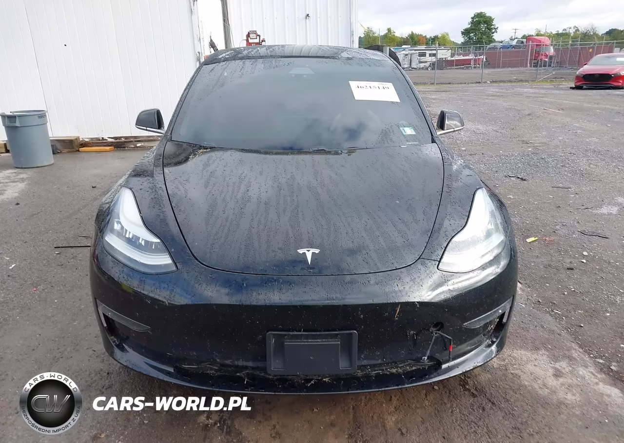 2019 Tesla Model 3 Long Range-Mid Range-Standard Range-Standard Range Plus VIN:5YJ3E1EA0KF402711 - 11