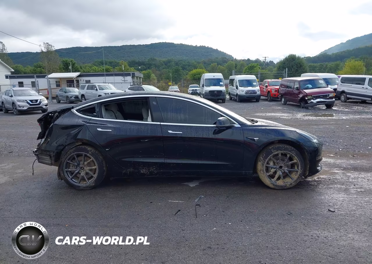 2019 Tesla Model 3 Long Range-Mid Range-Standard Range-Standard Range Plus VIN:5YJ3E1EA0KF402711 - 12