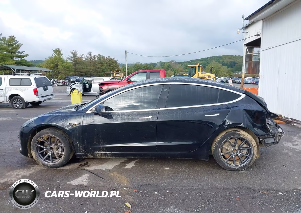 2019 Tesla Model 3 Long Range-Mid Range-Standard Range-Standard Range Plus VIN:5YJ3E1EA0KF402711 - 13