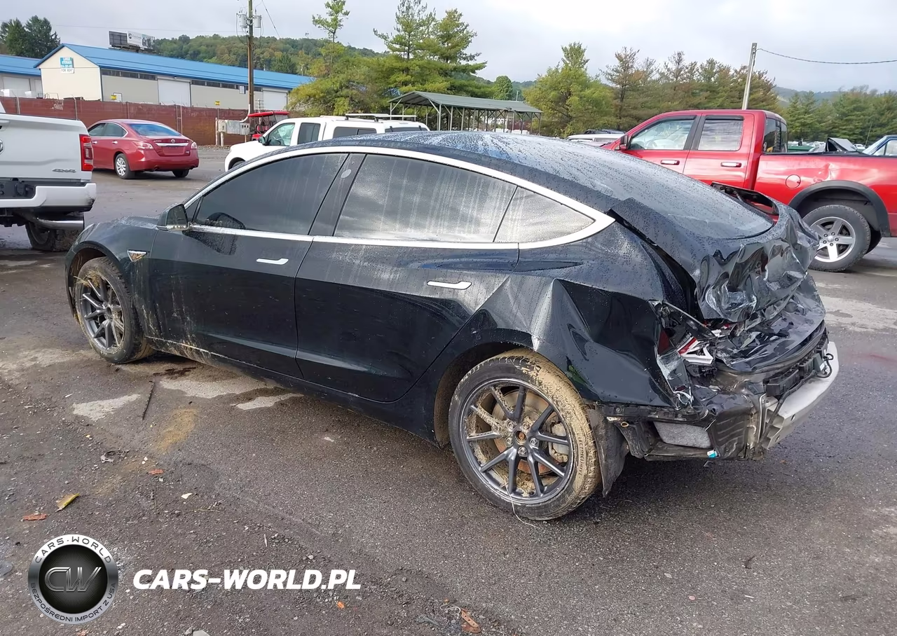 2019 Tesla Model 3 Long Range-Mid Range-Standard Range-Standard Range Plus VIN:5YJ3E1EA0KF402711 - 3