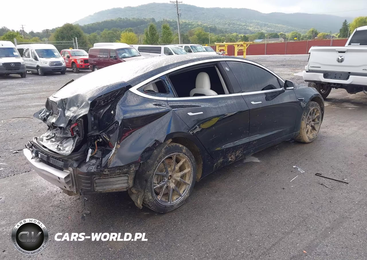2019 Tesla Model 3 Long Range-Mid Range-Standard Range-Standard Range Plus VIN:5YJ3E1EA0KF402711 - 4