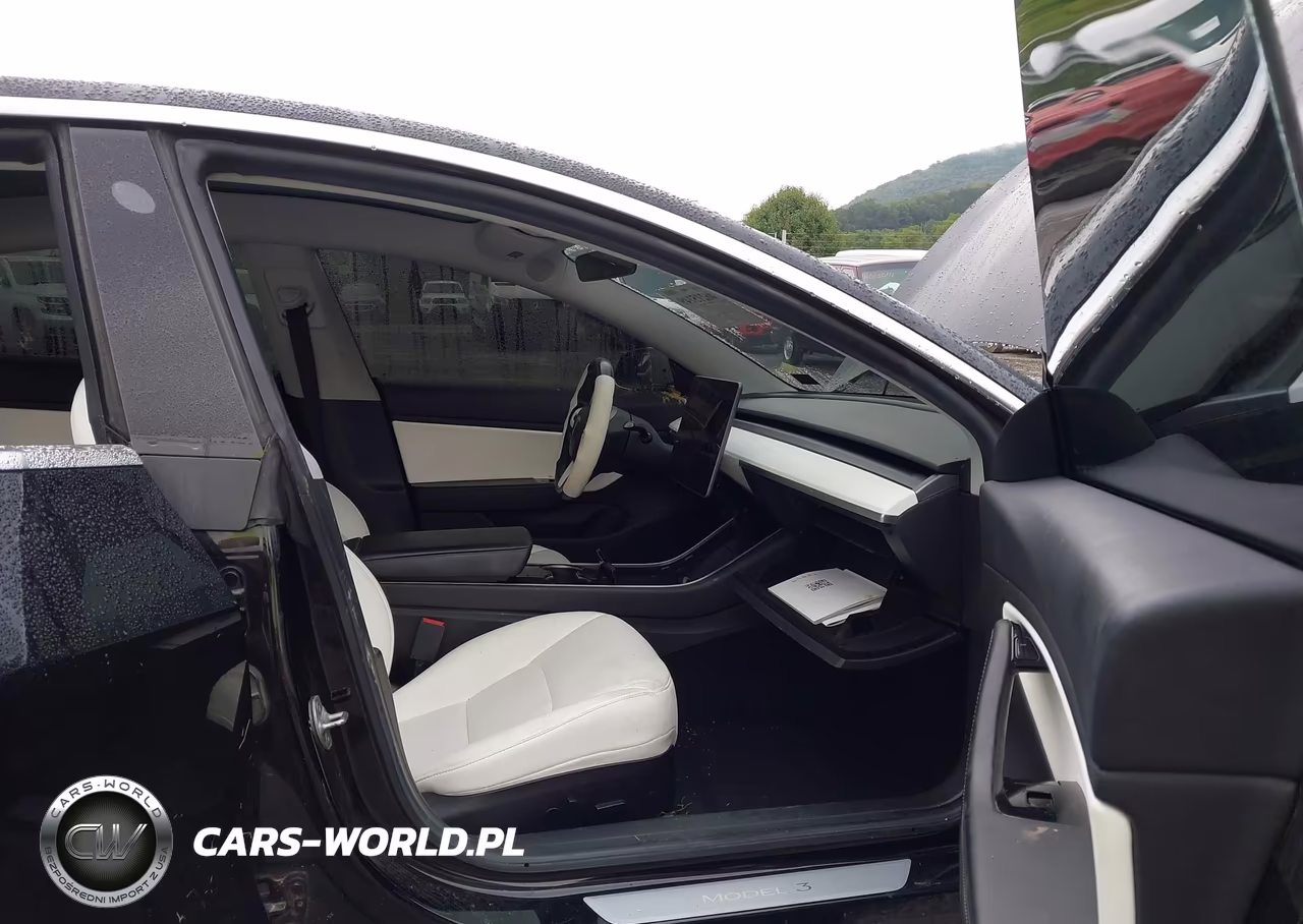 2019 Tesla Model 3 Long Range-Mid Range-Standard Range-Standard Range Plus VIN:5YJ3E1EA0KF402711 - 5