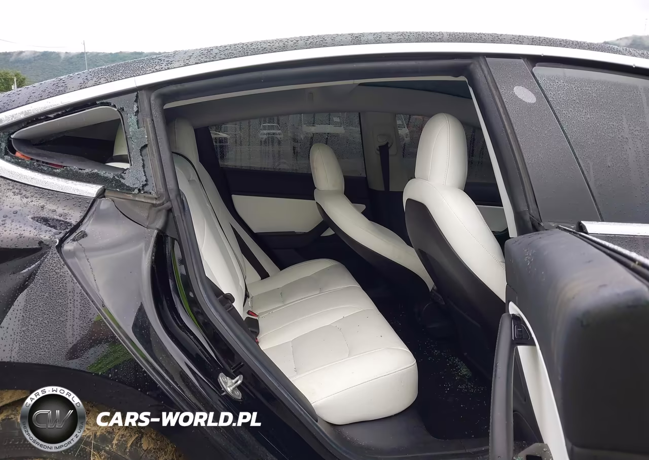 2019 Tesla Model 3 Long Range-Mid Range-Standard Range-Standard Range Plus VIN:5YJ3E1EA0KF402711 - 8