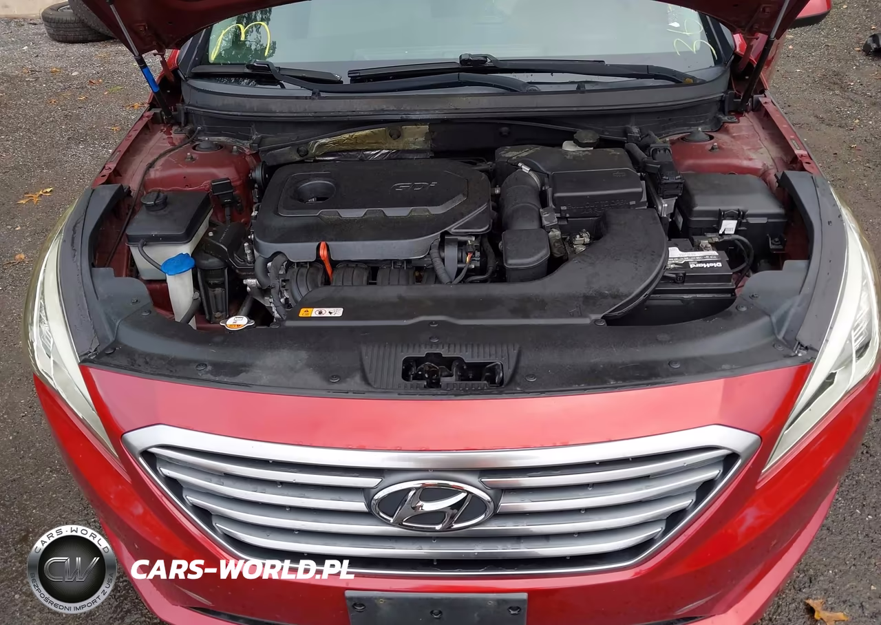 2016 Hyundai Sonata Se VIN:5NPE24AFXGH328503 - 10