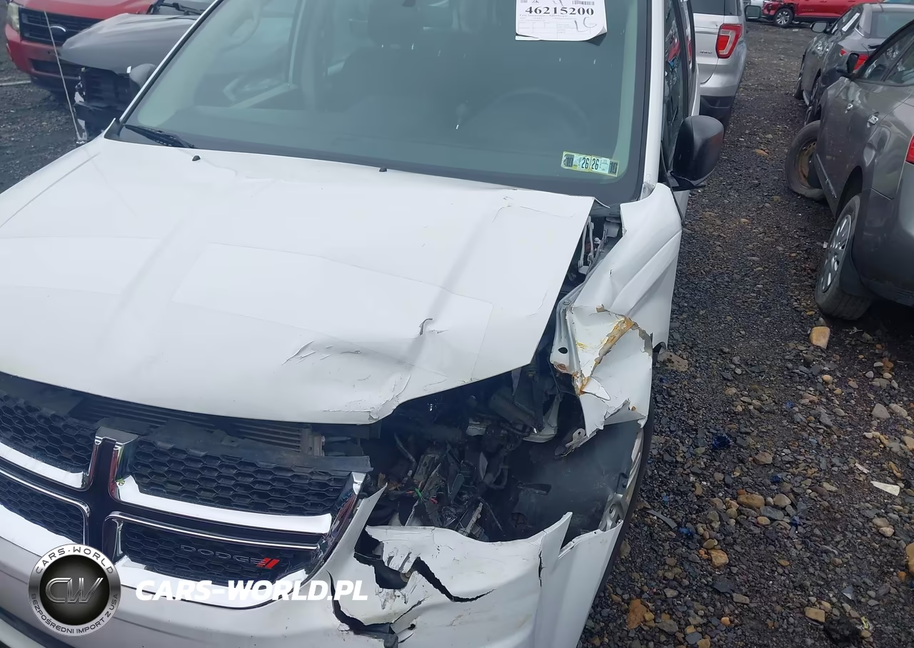 2014 Dodge Grand Caravan American Value Pkg VIN:2C4RDGBG2ER463320 - 12