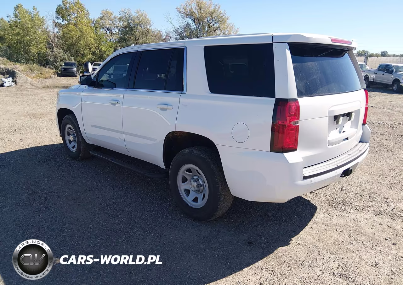 2017 Chevrolet Tahoe Commercial Fleet VIN:1GNSKFEC5HR321023 - 3