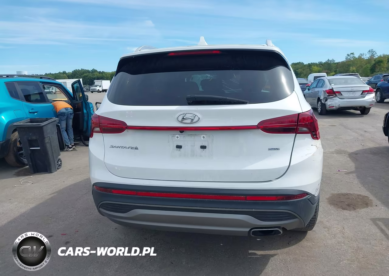 2023 Hyundai Santa Fe Sel VIN:5NMS2DAJ7PH649631 - 17