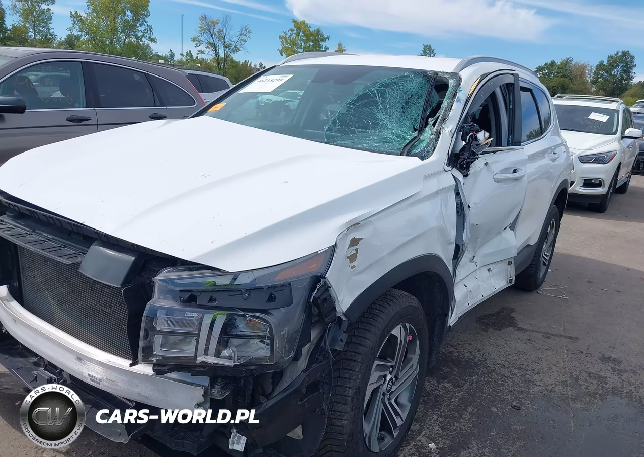 2023 Hyundai Santa Fe Sel VIN:5NMS2DAJ7PH649631 - 18