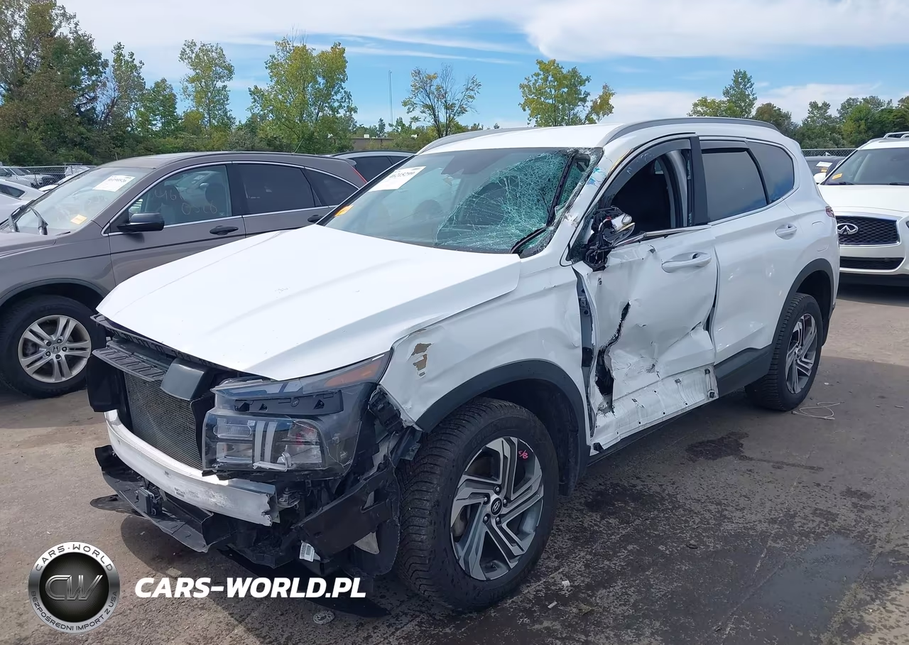 2023 Hyundai Santa Fe Sel VIN:5NMS2DAJ7PH649631 - 2