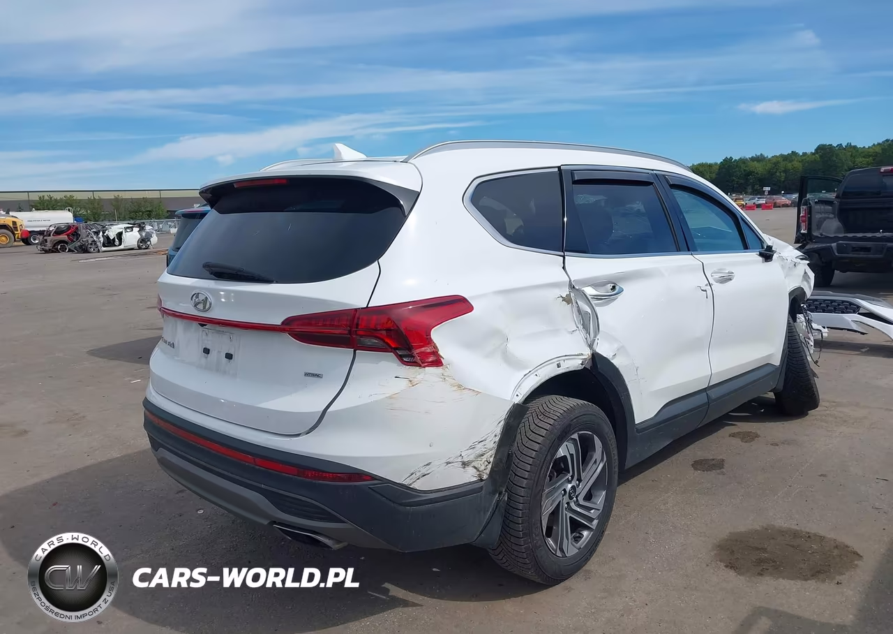 2023 Hyundai Santa Fe Sel VIN:5NMS2DAJ7PH649631 - 4