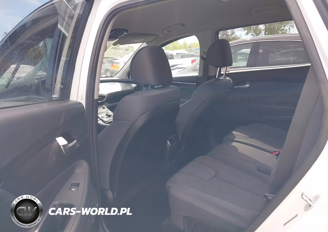 2023 Hyundai Santa Fe Sel VIN:5NMS2DAJ7PH649631 - 8