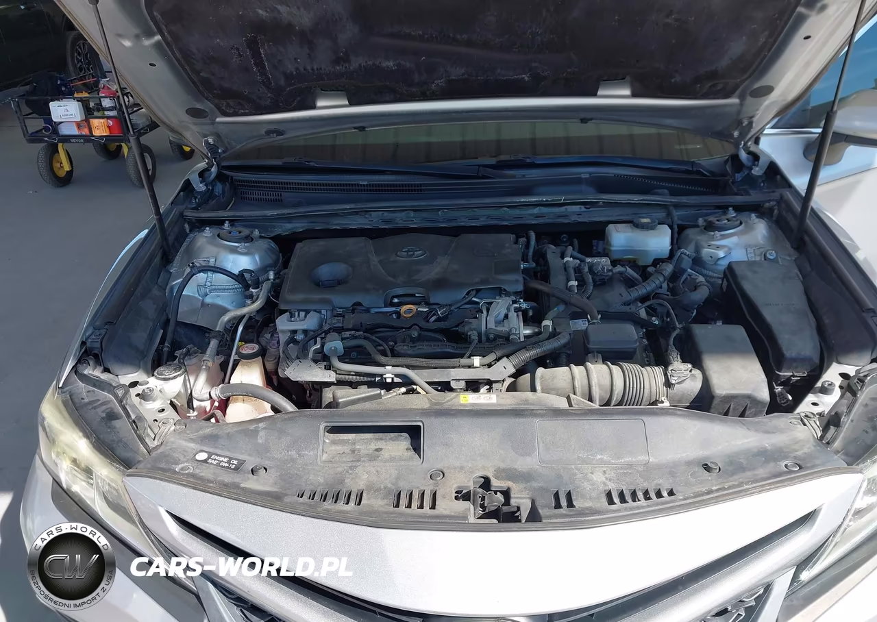 2019 Toyota Camry Hybrid Se VIN:4T1B21HK5KU010285 - 10