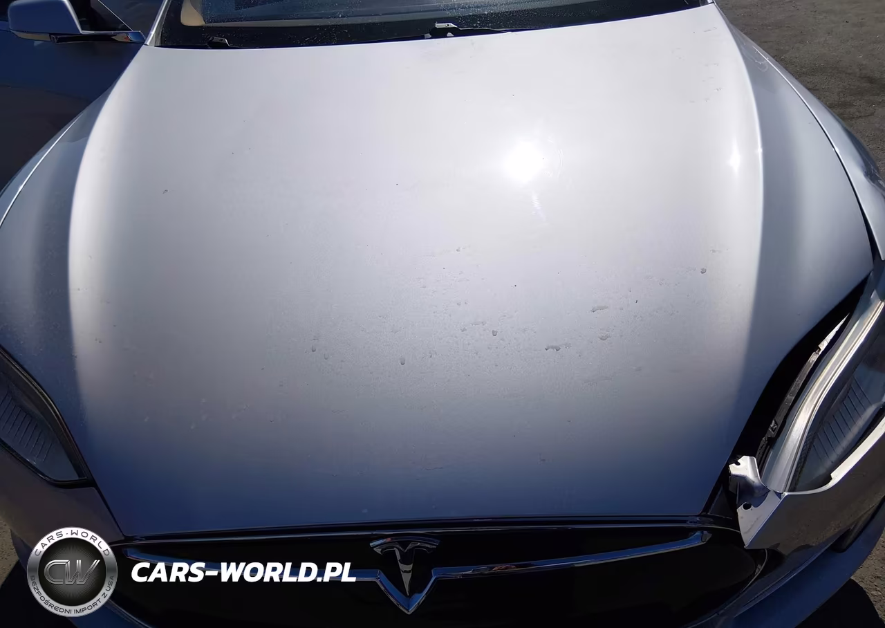 2013 Tesla Model S VIN:5YJSA1CG6DFP09236 - 10