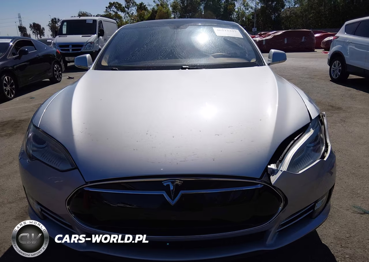 2013 Tesla Model S VIN:5YJSA1CG6DFP09236 - 12