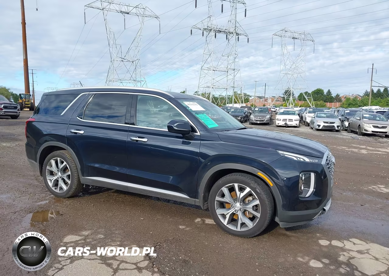 2020 Hyundai Palisade Sel VIN:KM8R4DHE6LU104309 - 1