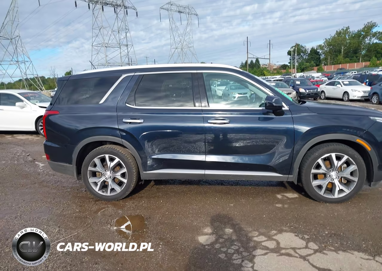 2020 Hyundai Palisade Sel VIN:KM8R4DHE6LU104309 - 14
