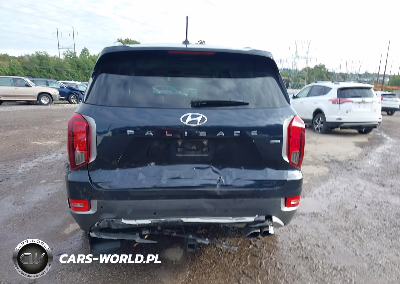 2020 Hyundai Palisade Sel VIN:KM8R4DHE6LU104309 - 17
