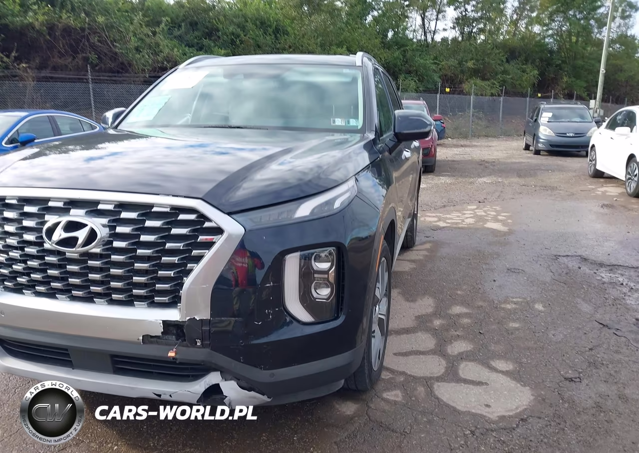 2020 Hyundai Palisade Sel VIN:KM8R4DHE6LU104309 - 2