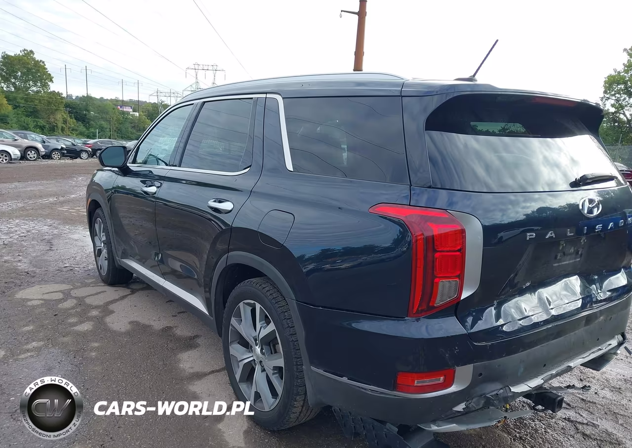 2020 Hyundai Palisade Sel VIN:KM8R4DHE6LU104309 - 3