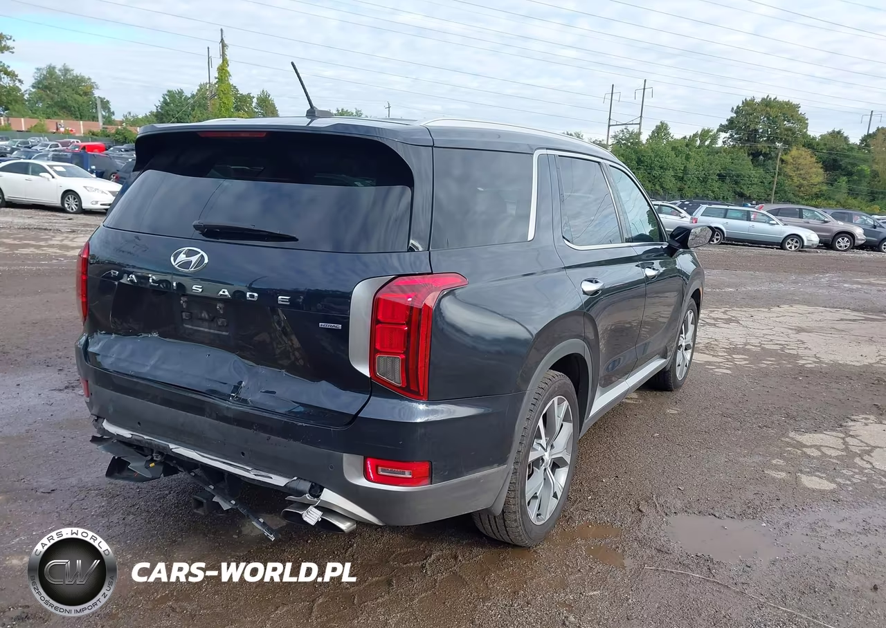 2020 Hyundai Palisade Sel VIN:KM8R4DHE6LU104309 - 4