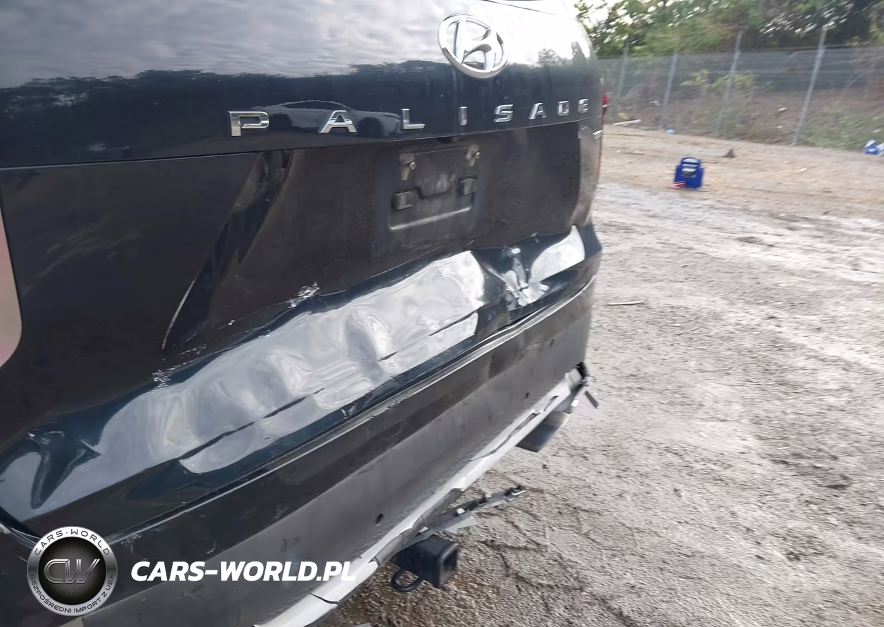 2020 Hyundai Palisade Sel VIN:KM8R4DHE6LU104309 - 6