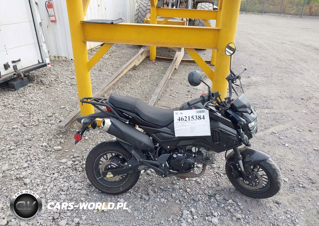 2025 Jialing Other VIN:L2BBAACGXSB003168 - 12