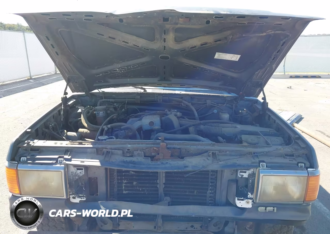 1991 Ford F150 VIN:1FTDF15Y7MNA79972 - 10